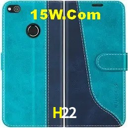 Integração de APIs H22